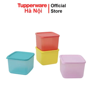 Bộ hộp bảo quản thực phẩm Tupperware Medium Square Round (set 4 món) chính hãng