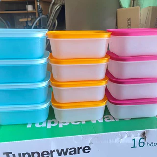 Hộp Nhựa 450ml Ngăn Đông Dẻo Gen 2 Tupperware - Trữ Thực Phẩm Thịt Cá Trái Cây - Đồ Ăn Dặm Cho Bé