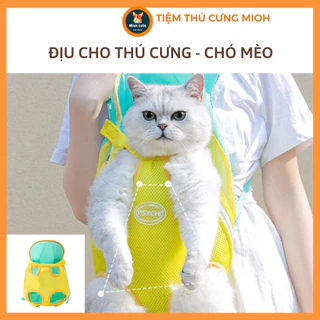 Địu chở thú cưng chó mèo vải PVC thoáng khí màu sắc