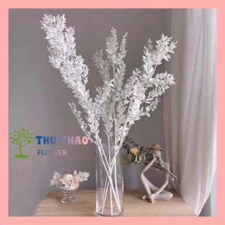 Hoa khô trang trí Lá Chanh Ý Nhập Khẩu decor nhà cửa, phụ kiện chụp ảnh, lọ hoa để bàn