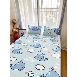 Bộ ga gối 3 món cotton poly 2m2 được chọn màu