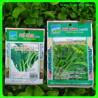 Hạt Giống Cải Ngồng (Cải ngọt Bông) Phú Nông - Gói 20g -50g - Flowering Pak Choy PN-108