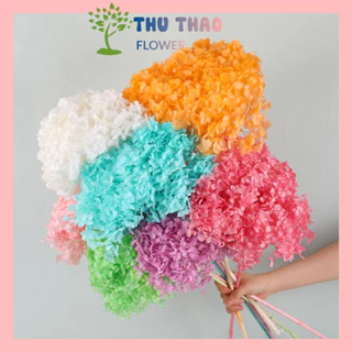 Cẩm Tú Cầu - Hoa khô trang trí resin, decor nhà cửa, quà tặng handmade vintage, lọ hoa để bàn