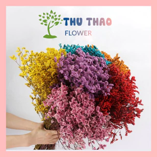 Hoa Thủy Tinh - Hoa khô để bàn, trang trí decor nhà cửa, chụp ảnh sản phẩm