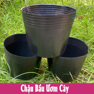 Chậu nhựa dẻo dày trồng cây và ươm cây siêu bền đủ kích thước