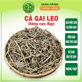 Cà gai leo, 100% từ thiên nhiên, hỗ trợ giải độc gan, làm mát gan, men gan cao, gan nhiễm mỡ, bảo vệ lá gan [500 gr]