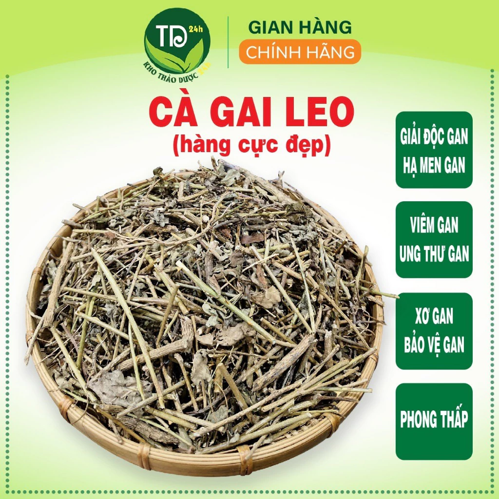 Cà gai leo, 100% từ thiên nhiên, hỗ trợ giải độc gan, làm mát gan, men gan cao, gan nhiễm mỡ, bảo vệ lá gan [500 gr]