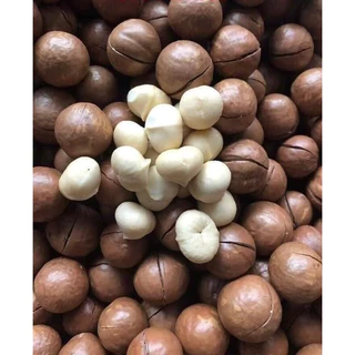 Macadamia nứt vỏ Đắc Lắc Việt Nam size to 500g