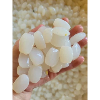 Hạt đác tươi sạch size trung dẻo 1kg