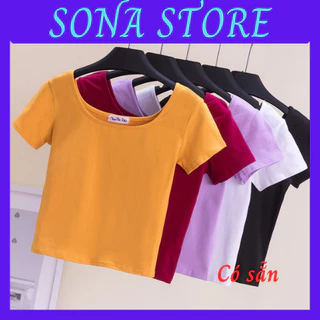 Áo phông nữ thun cotton croptop chất đẹp dáng ôm body cổ vuông cộc tay ngắn Hàn quốc cao cấp mềm mịn thoáng khí AP20