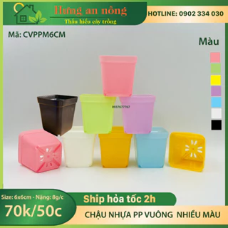 CVPPM6CM - 50 chậu vuông nhựa PP trồng sen đá bonsai xương rồng có 7 màu chọn - size 6x6cm