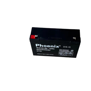 Ắc quy xe máy điện ô tô điện trẻ em 6V-12ah - Phoenix TS6120