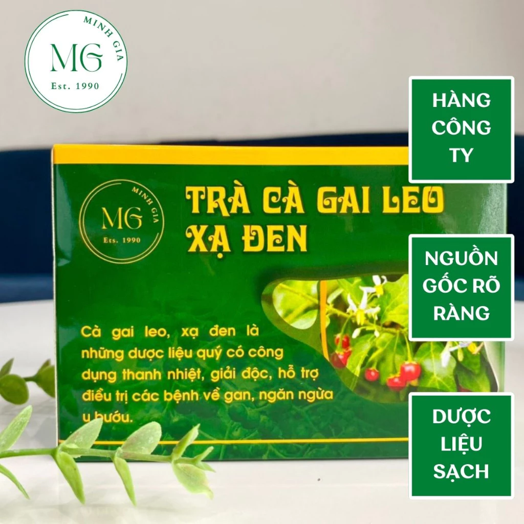 Trà túi lọc cà gai leo xạ đen,trà cà gai leo xạ đen thảo mộc giúp thanh nhiệt,giải độc cơ thể,cải thiện giấc ngủ