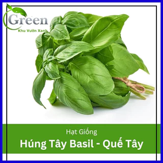 Hạt Giống Rau Húng Tây (Quế Tây) Basil Italy