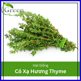 Hạt Giống Cỏ Xạ Hương Thyme (50H)