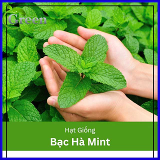 Hạt Giống Bạc Hà Mint (Húng Lủi Âu) - Gói 100 Hạt