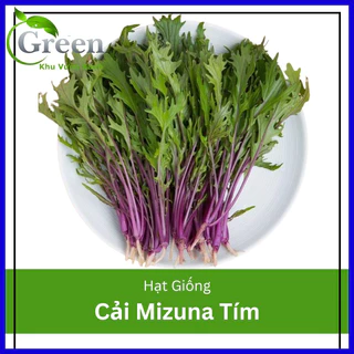 Hạt Giống Cải Mizuna Tím Nhật Bản