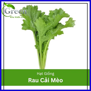 Hạt Giống Rau Cải Mèo