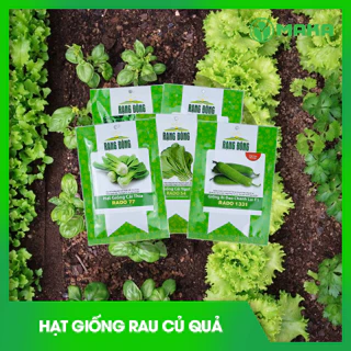 Hạt giống rau, củ, quả tỉ lệ nảy mầm cao, sinh trưởng khỏe cho năng xuất cao