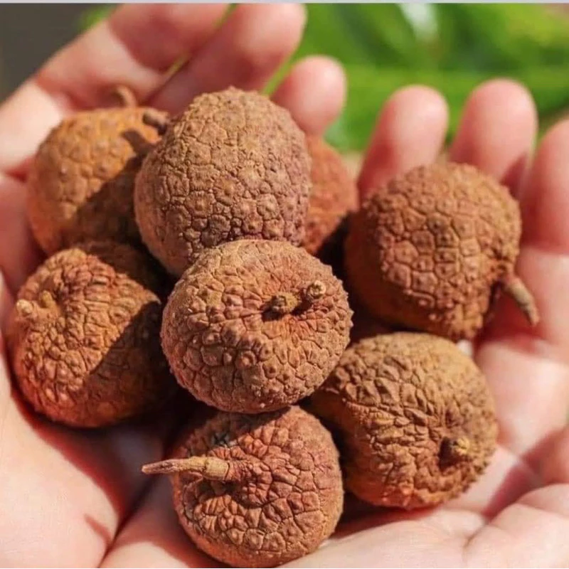 vải thiều sấy khô Bắc Giang chuẩn hàng loại 1 túi 500gr