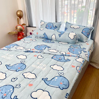 Set 5 món chăn hè chần bông ga gối Cotton Poly