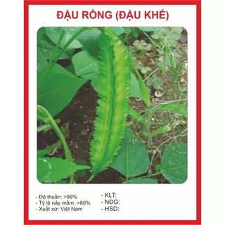 HẠT GIỐNG ĐẬU RỒNG- ĐẬU KHẾ GÓI 10GR