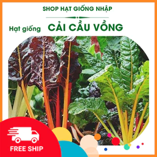 Hạt giống rau cải cầu vồng |GÓI 20g