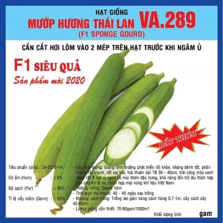 HẠT GIỐNG MƯỚP HƯƠNG 7 LÁ THÁI LAN GÓI 2GR -289