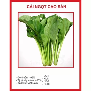 HẠT GIỐNG CẢI NGỌT CAO SẢN 20GR