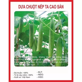 Hạt giống dưa chuột nếp ta gói 5gr