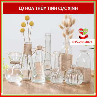 Lọ Hoa, Bình Bông Thủy Tinh Trang Trí Cực Xinh