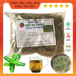 1Kg Diệp Hạ Châu (Chó đẻ răng cưa) hỗ trợ men gan, mát gan, viêm gan B,C