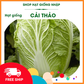 Hạt giống Cải thảo F1 - Gói 0.5gr