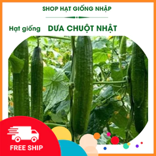 Hạt giống dưa chuột kiếm (dưa chuột Nhật) | GÓI 1g