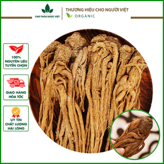 Sâm đương quy 100g (Củ đương quy, đương quy khô, loại 1) - Chợ Thảo Dược Việt