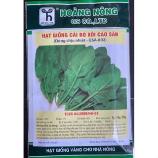 Hạt giống Cải bó xôi Cao Sản Hoàng Nông ( dòng chịu nhiệt)  20gr - Cam kết về chất lượng và tỉ lệ nảy mầm