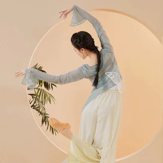 [Có Sẵn] Áo ren lưới tập múa cổ trang Trung Hoa, biểu diễn múa đương đại A206 - Đồ Múa Tịnh Nhi