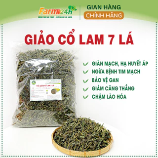 [500 gr] Trà giảo cổ lam 7 lá SaPa, giảm cholesterol trong máu, lưu thông máu não, ngừa tai biến, đột quỵ, khỏe tim mạch