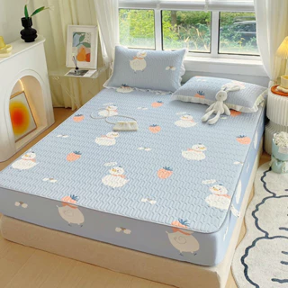 Chiếu điều hoà bọc nệm IGUN BEDDING kèm hai vỏ gối nằm phối ren bèo siêu xinh