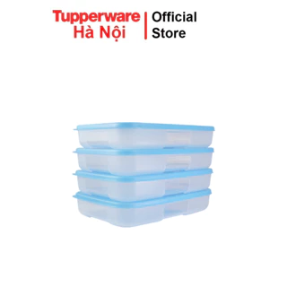 Bộ hộp trữ đông Tupperware Happy Set 550ml (4) thân dẹt chính hãng nhựa nguyên sinh an toàn