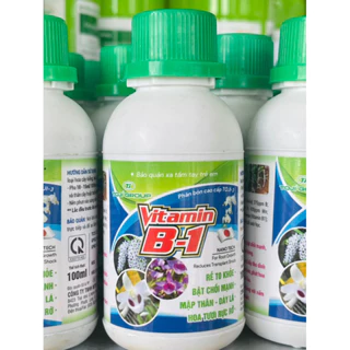 VITAMIN B1 (100ml). Chuyên dùng cho hoa, cây cảnh, rau màu, củ quả.