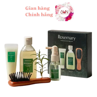 Bộ sản phẩm chăm sóc tóc Aromatica Rosemary Scalp Scaling Trial Kit 4pcs