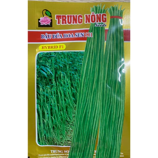 Hạt giống đậu đũa HOA SEN gói 10g