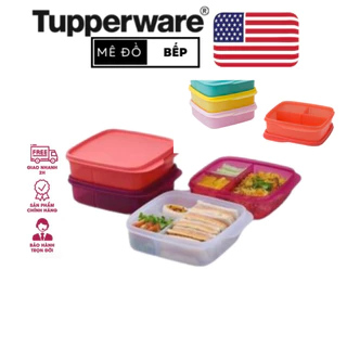 Hộp cơm chia ngăn Tupperware Lolly Tup nhiều màu mẫu mới 2023 nhựa nguyên sinh bảo hành trọn đời