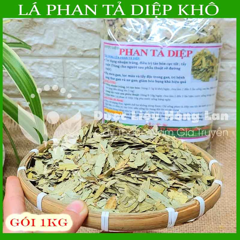 ✅ 1kg Lá Cây Phan Tả Diệp khô sạch - Hàng Công Ty