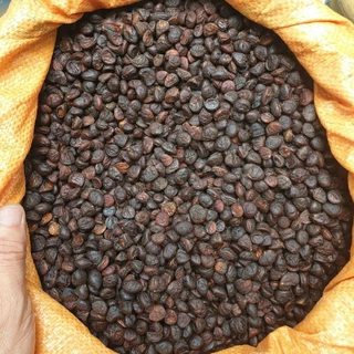 hạt dổi nếp 100g