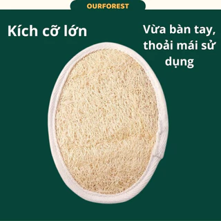 Bông Tắm Xơ Mướp Tự Nhiên Cỡ Lớn, Sơ Mướp Tắm Tẩy Tế Bào Chết, Chà Lưng, Xuất Khẩu