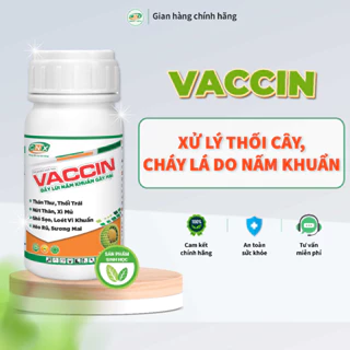 Chế phẩm sinh học VACCIN chuyên cho thán thư, thối nhũn, thối trái, thối thân, xì mủ - CNX 200ML