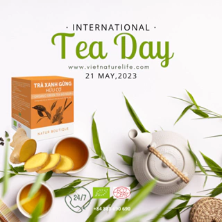 Trà Gừng Hữu Cơ Natur Boutique FITO Organic Ginger Green Tea (20 teabags)