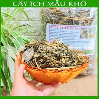 Thảo dược Cây Ích Mẫu khô đóng gói 1kg - Công Ty Dược Liệu Hồng Lan